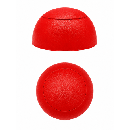 Flat dome screw cover for playground equipment M6 Red Flat dome screw cover for playground equipment M6 M6 flat dome cap EMFA GmbH